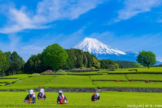 30–60 yaş için güvenilir medyum isimleri ve sonuç veren yorumlar rehberi: gerçek medyum nasıl bulunur, işlem sonrası par...